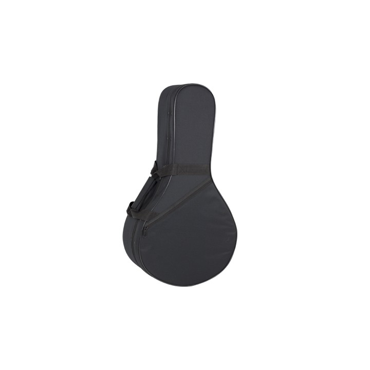 Estuche Bandurria Styrofoam