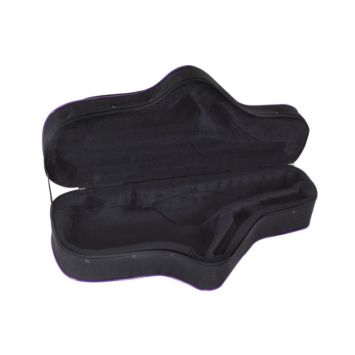Estuche Saxo Alto Con Forma