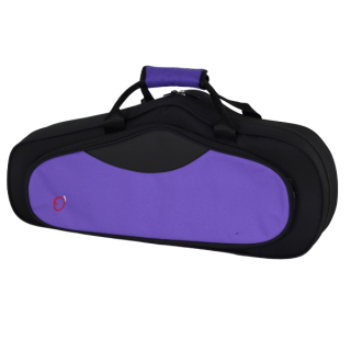 Estuche Saxo Alto Fsh
