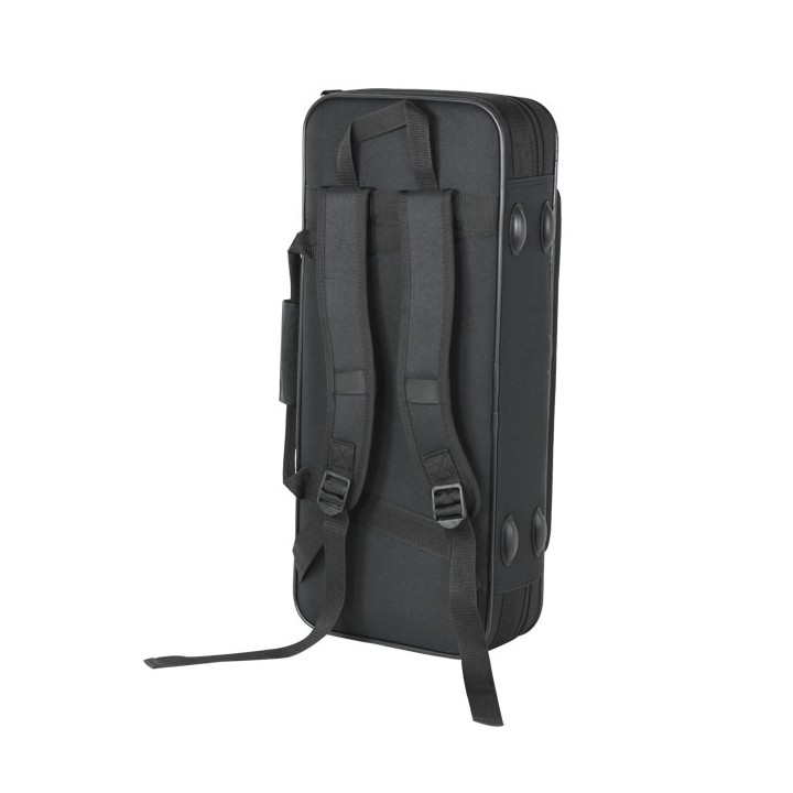 Estuche Saxo Alto Bgd