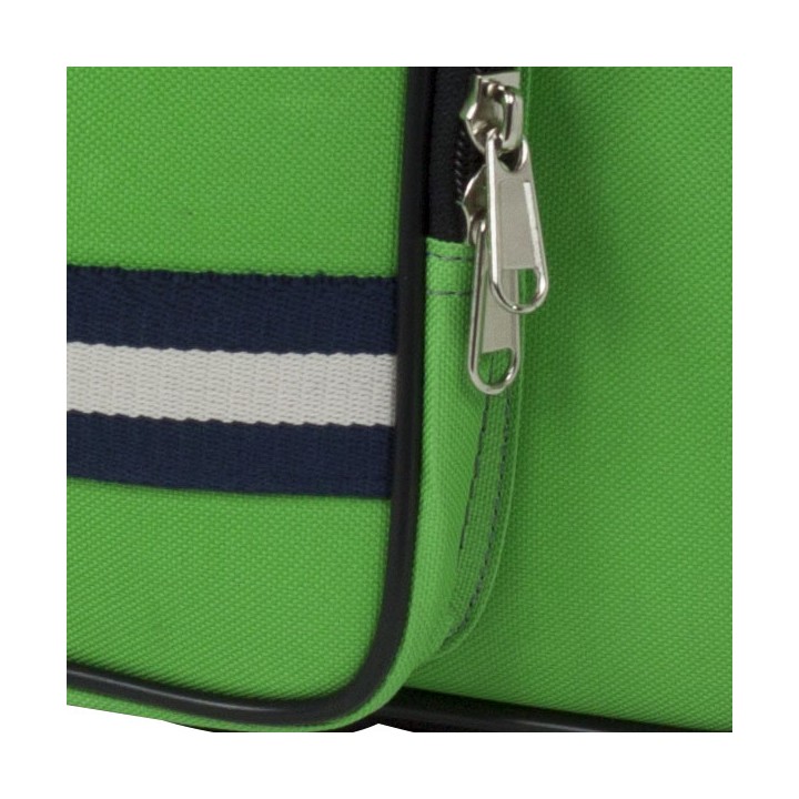 Estuche Saxo Alto Bgd