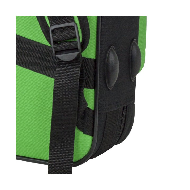 Estuche Saxo Alto Bgd