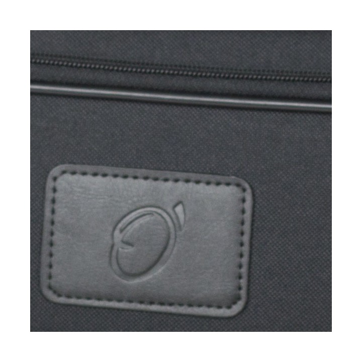 Estuche Saxo Alto Bgd