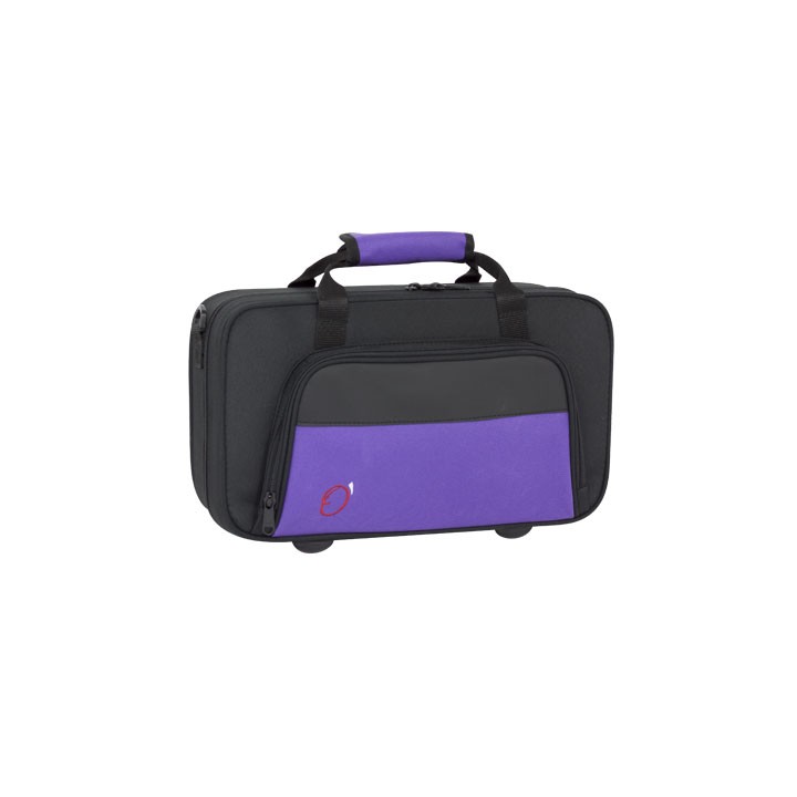 Estuche Clarinete Rectangular Fsh