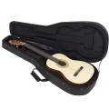 Estuche Guitarra Clasica Styrofoam Estuche Guitarra Clasica Styrofoam