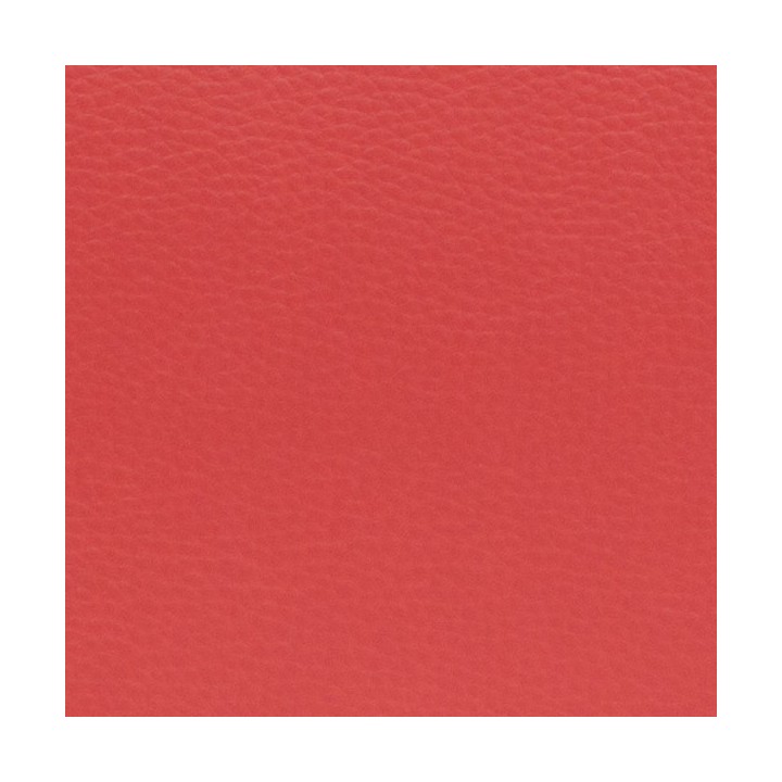 Estuche Trompeta Amelie Brg Forma