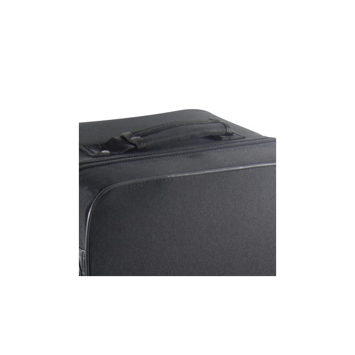 Estuche Trompeta + Fliscorno