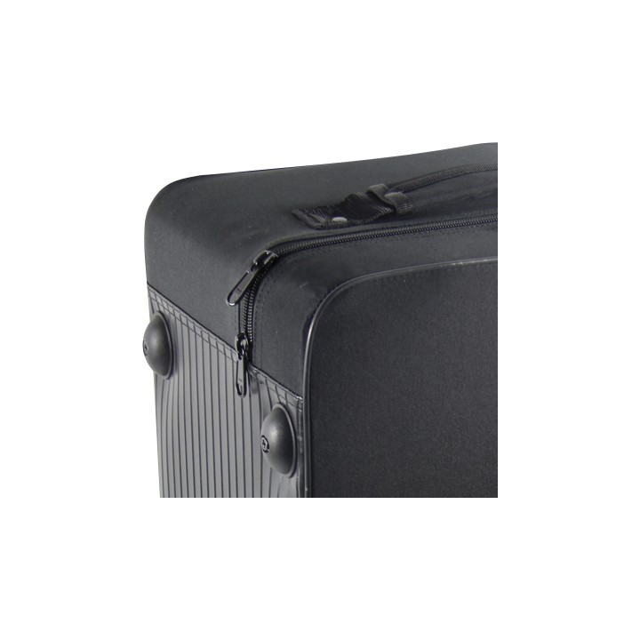 Estuche Trompeta + Fliscorno