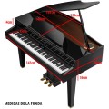 Funda Piano Digital Cola Roland Gp-607 4mm Funda Piano Digital Cola Roland Gp-607 4mm