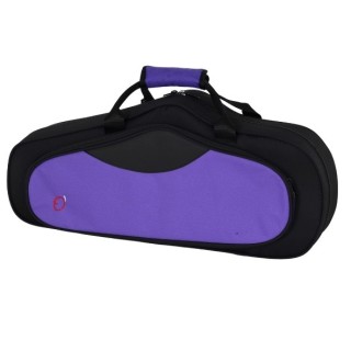 Estuche Saxo Alto Fsh