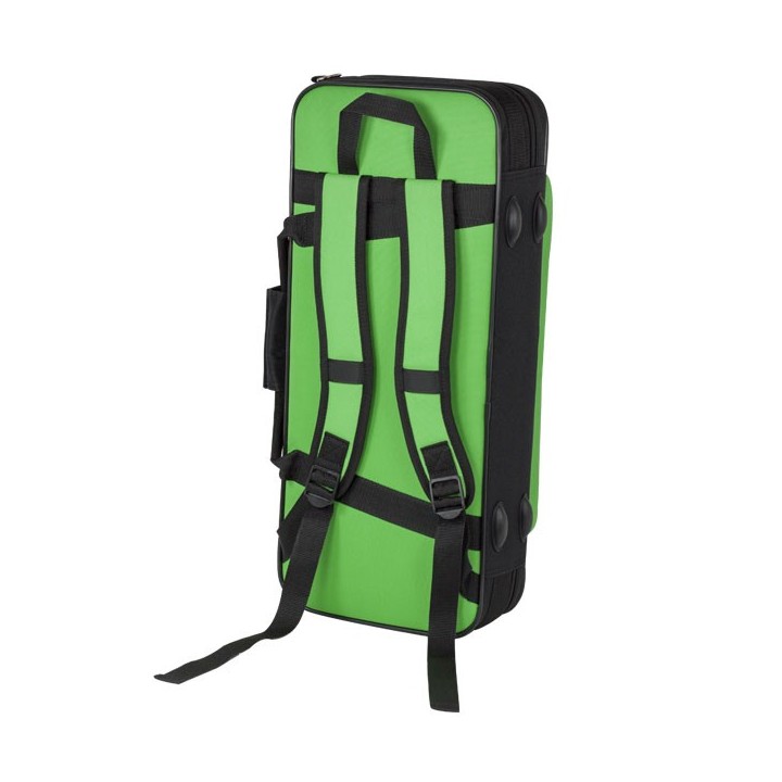 Estuche Saxo Alto Bgd