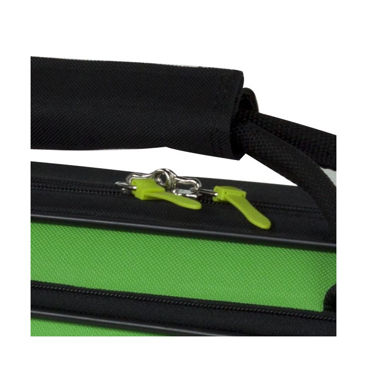 Estuche Saxo Alto Bgd