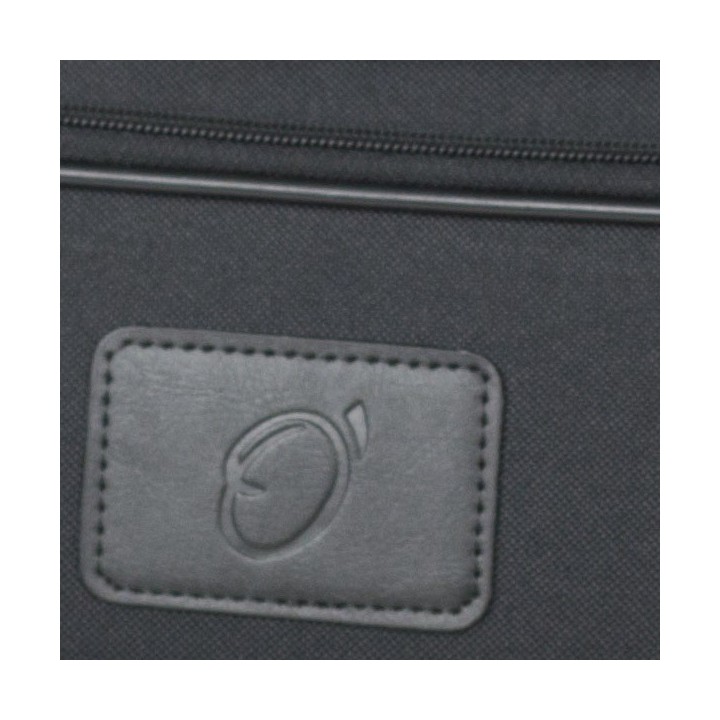 Estuche Saxo Alto Bgd