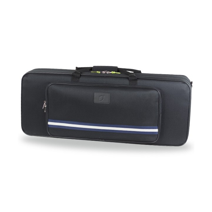 Estuche Saxo Tenor Bgd
