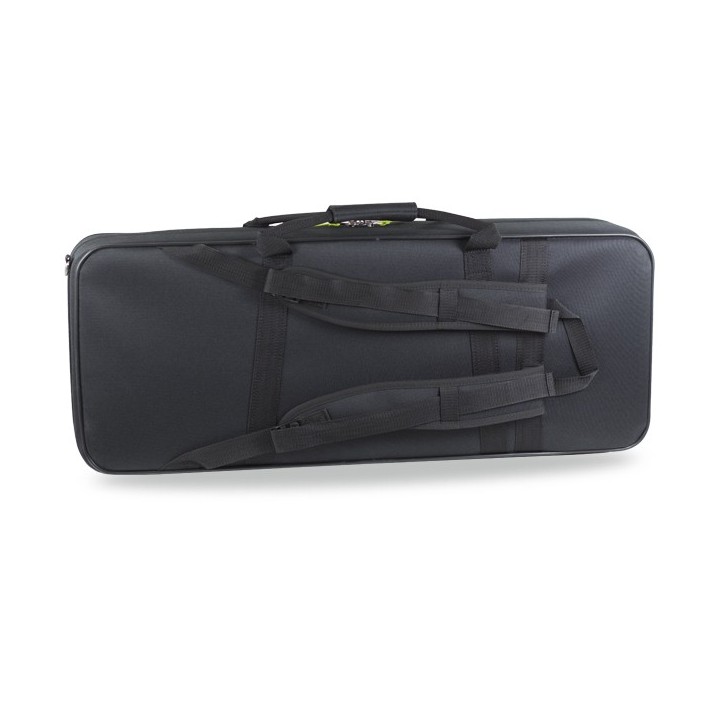 Estuche Saxo Tenor Bgd