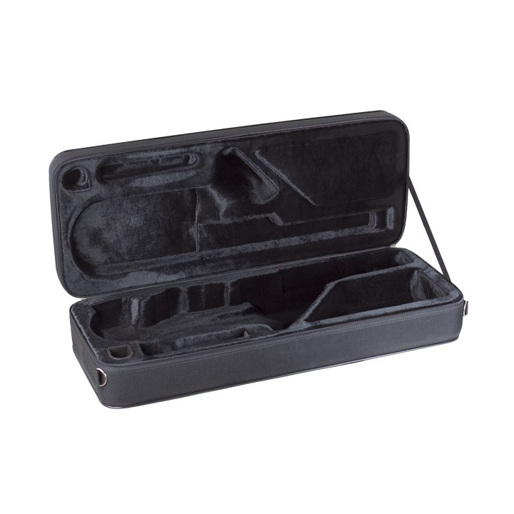 Estuche Saxo Tenor Bgd