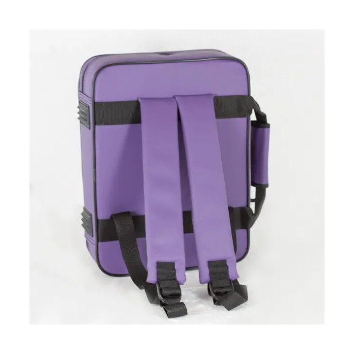 Estuche Clarinete Sib Amelie Brg Partitura