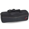 Estuche Flauta Travesera Cabeza Curvada y Recta Estuche Flauta Travesera Cabeza Curvada y Recta
