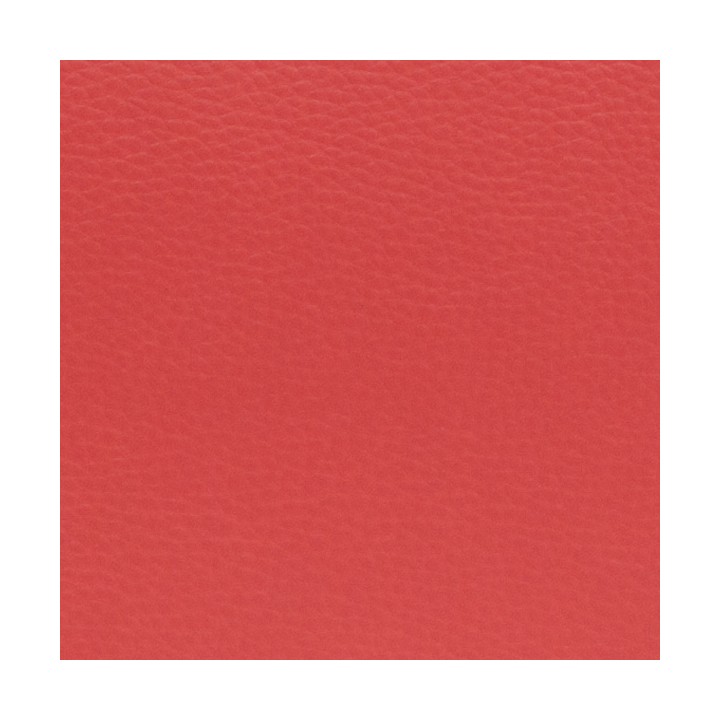 Estuche Trompeta Amelie Brg Forma