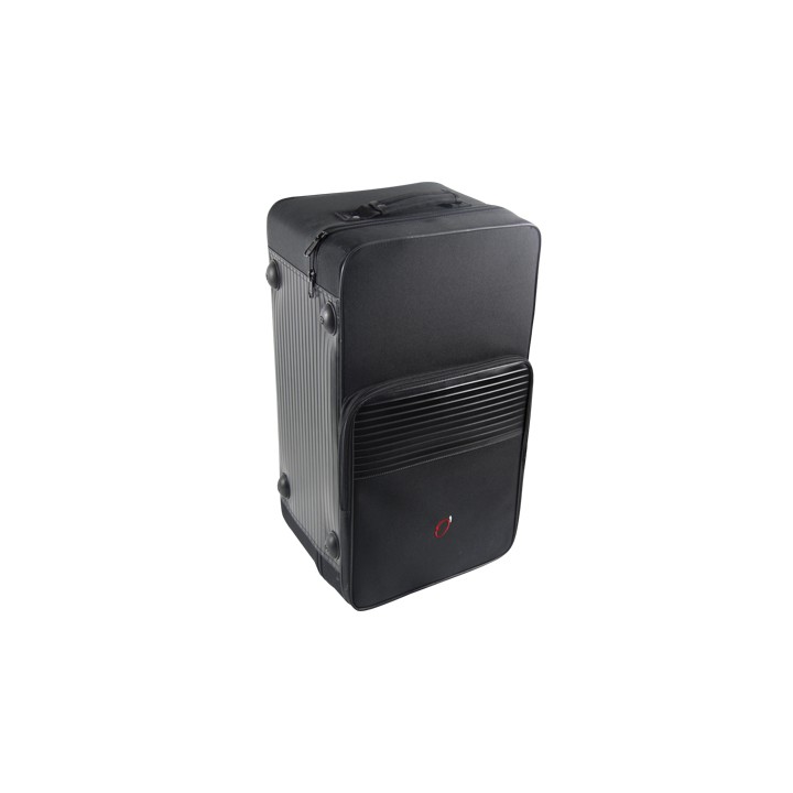 Estuche Trompeta + Fliscorno