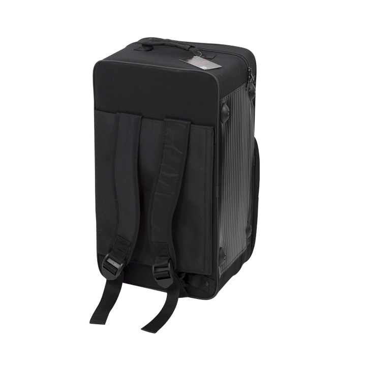 Estuche Trompeta + Fliscorno