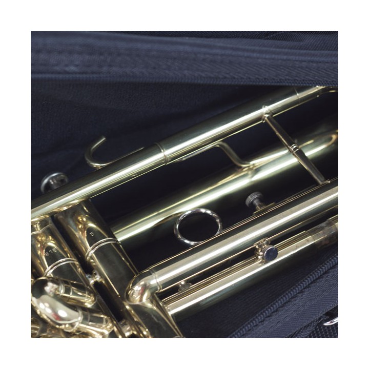 Funda Trompeta