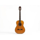 Fundas de Requinto